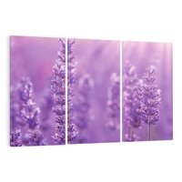 Obraz na płótnie 120x80 - Fioletowa harmonia lawendy - lawenda, fiolet