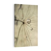 Obraz na płótnie 50x70 - Delikatność dmuchawców - dmuchawce, krople