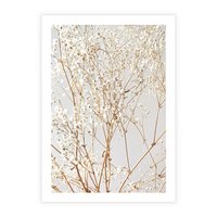 Plakat bez ramy 30x40 - Minimalistyczna Delikatność - białe kwiaty, gipsówka