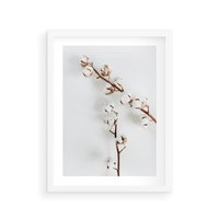 Plakat w ramie 30x40 - Gałęzie Bawełny na Białym Tle - gałęzie bawełny na białym tle, minimalizm - rama biała