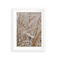 Plakat w ramie 30x40 - Beżowa Trawa - suche trawy, zbliżenie - rama biała