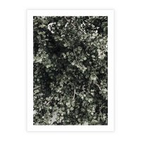 Plakat bez ramy 50x70 - Jasnozielone Liście i Gałązki - liście, gałązki