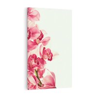 Obraz na płótnie 80x120 - Orchidea - delikatne kwiaty - orchidea, kwiaty