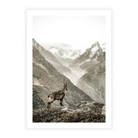 Plakat bez ramy 30x40 - Dzikie Piękno: Kozica w Malowniczym Górskim Scenerii - kozica, góry