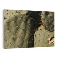 Obraz na płótnie 100x70 - Urok Egzotyki - kaktusy, boho
