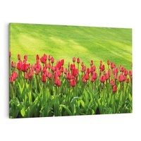 Obraz na płótnie 120x80 - Tulipanowy raj - kwiat, kwiaty