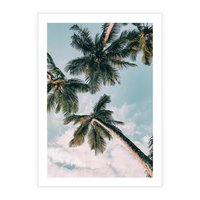 Plakat bez ramy 21x30 - Wzrok ku Niebu - palmy na tle nieba, ujęcie z dołu