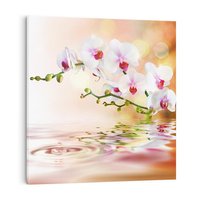 Obraz na płótnie 50x50 - Elegancja orchidei - orchidea, kwiaty