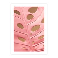 Plakat bez ramy 21x30 - Różowy Liść Monstery - różowy liść monstery, nowoczesna fotografia