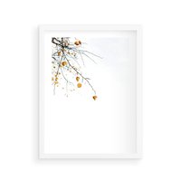 Plakat w ramie 30x40 - Złota Jesień - drzewo, żółte liście - rama biała