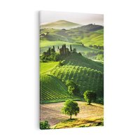 Obraz na płótnie 70x100 - Prowansja: malownicze winnice w kraju Włoch - Prowansja, Włochy