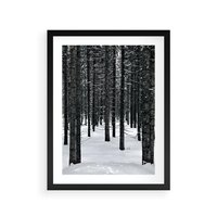 Plakat w ramie 30x40 - Zimowe Drzewa: Śnieg na Pniach - drzew w zimi, pnie drzew - rama czarna