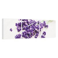 Obraz na płótnie 120x40 - Urok lawendowych kwiatów - lawenda, kwiaty
