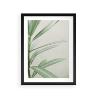 Plakat w ramie 40x50 - Minimalistyczna Tropikalna Harmonia - tropikalna roślina, zielone liście - rama czarna