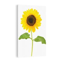 Obraz na płótnie 80x120 - Słoneczniki - Kwiaty Radości - słonecznik, kwiat