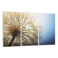 Obraz na płótnie 120x80 - Delikatny dmuchawiec w pełnym rozkwicie - dmuchawiec, kwiat