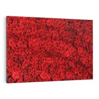 Obraz na płótnie 120x80 - Czerwona Pasja - czerwone, róże