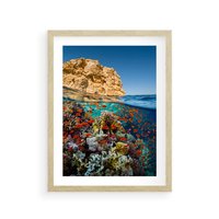 Plakat w ramie 50x70 - Rafa koralowa w oceanie - rafa, koralowa - rama drewno
