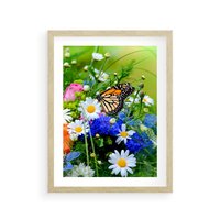 Plakat w ramie 50x70 - Kwiatowy Taniec - motyl, kwiaty - rama drewno