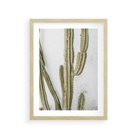 Plakat w ramie 30x40 - Kaktus w Stylu Boho - kaktus, roślina tropikalna - rama drewno