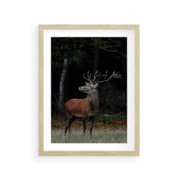 Plakat w ramie 40x50 - Spotkanie z naturą - jeleń, las - rama drewno