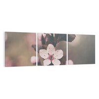 Obraz na płótnie 120x40 - Przemijający Urok - kwitnąca, wiśnia