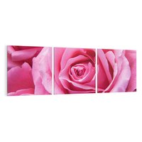 Obraz na płótnie 120x40 - Róża Wspaniałości - róża, kwiat
