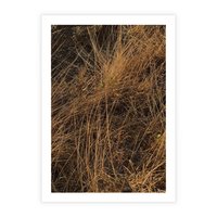 Plakat bez ramy 30x40 - Szlachetna Suchość Traw - trawy, suche trawy