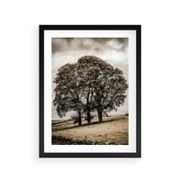 Plakat w ramie 30x40 - Spokojna Osamotniona Chwila - beżowe kolory, samotne drzewo na polu - rama czarna