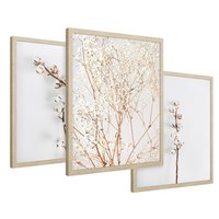 Zestaw obrazy w ramie 50x70 galeria - Gipsówka, bawełna, kwiaty, susz - rama drewno