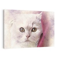 Obraz na płótnie 100x70 - Kot w abstrakcyjnym świetle - kot, abstrakcja