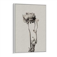 Obraz w ramie 50x70 - Cień Kwiatowej Delikatności - kwiat, cień - rama biała