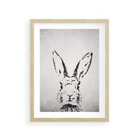 Plakat w ramie 40x50 - Szkicowany królik w grafice - szkic, królik - rama drewno