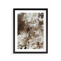 Plakat w ramie 50x70 - Płatki w Detalu - białe kwiaty, zbliżenie - rama czarna