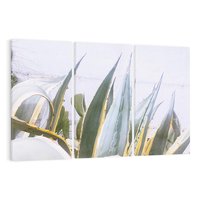 Obraz na płótnie 120x80 - Sukulentowe liście - liście, sukulenty