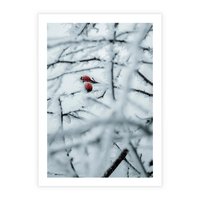 Plakat bez ramy 21x30 - Zima w Detalu: Gałęzie ze Szronem i Śniegiem - śnieg, zima