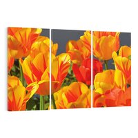 Obraz na płótnie 120x80 - Kwiatowa Harmonia - kwiaty, kwiat