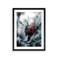 Plakat w ramie 50x70 - Chwila Zimowego Uroku - zima, ośnieżona gałązka - rama czarna