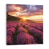 Obraz na płótnie 50x50 - Lawenda: Pachnące pole kwiatów - kwiaty, lawenda