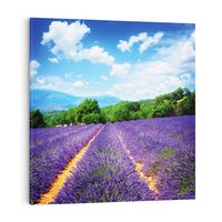 Obraz na płótnie 80x80 - Prowansalska Lawenda - lawenda, prowansja