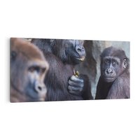 Obraz na płótnie 120x60 - Małpy w ich naturalnym środowisku - małpy, szympansy