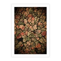 Plakat bez ramy 21x30 - Jesień z Lotu Ptaka: Malowniczy Las - las jesienią z lotu ptaka