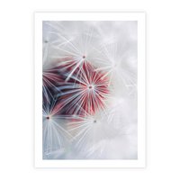 Plakat bez ramy 50x70 - Minimalistyczna Delikatność - zbliżenie, dmuchawce