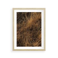 Plakat w ramie 30x40 - Szlachetna Suchość Traw - trawy, suche trawy - rama drewno