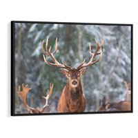 Obraz w ramie 100x70 - Monarcha Zimowej Dziczy - jeleń, zima - rama czarna