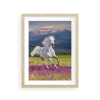 Plakat w ramie 30x40 - Koń Góry: Spotkanie z Wielką Przyrodą - koń, góry - rama drewno