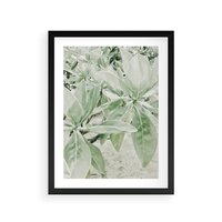 Plakat w ramie 40x50 - Jasnozielone Liście w Kompozycji - liście, jasna zieleń - rama czarna