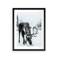 Plakat w ramie 40x50 - Zimowy Portret Łosia - łoś w zimowej scenerii - rama czarna