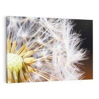 Obraz na płótnie 120x80 - Dmuchawiec: lekkość natury - dmuchawiec, natura