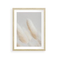 Plakat w ramie 40x50 - Czysty Minimalizm - białe trawy, minimalizm - rama drewno